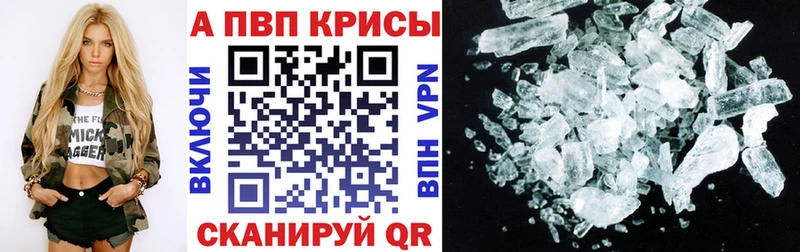 Альфа ПВП СК Архангельск