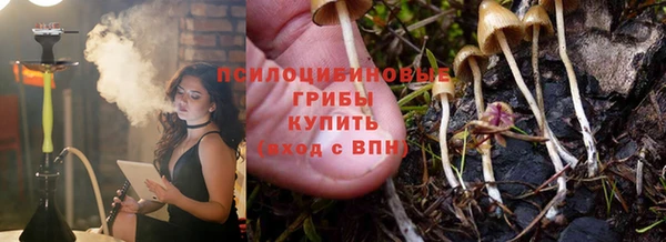 стаф Кинешма