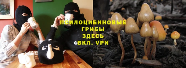 стаф Кинешма